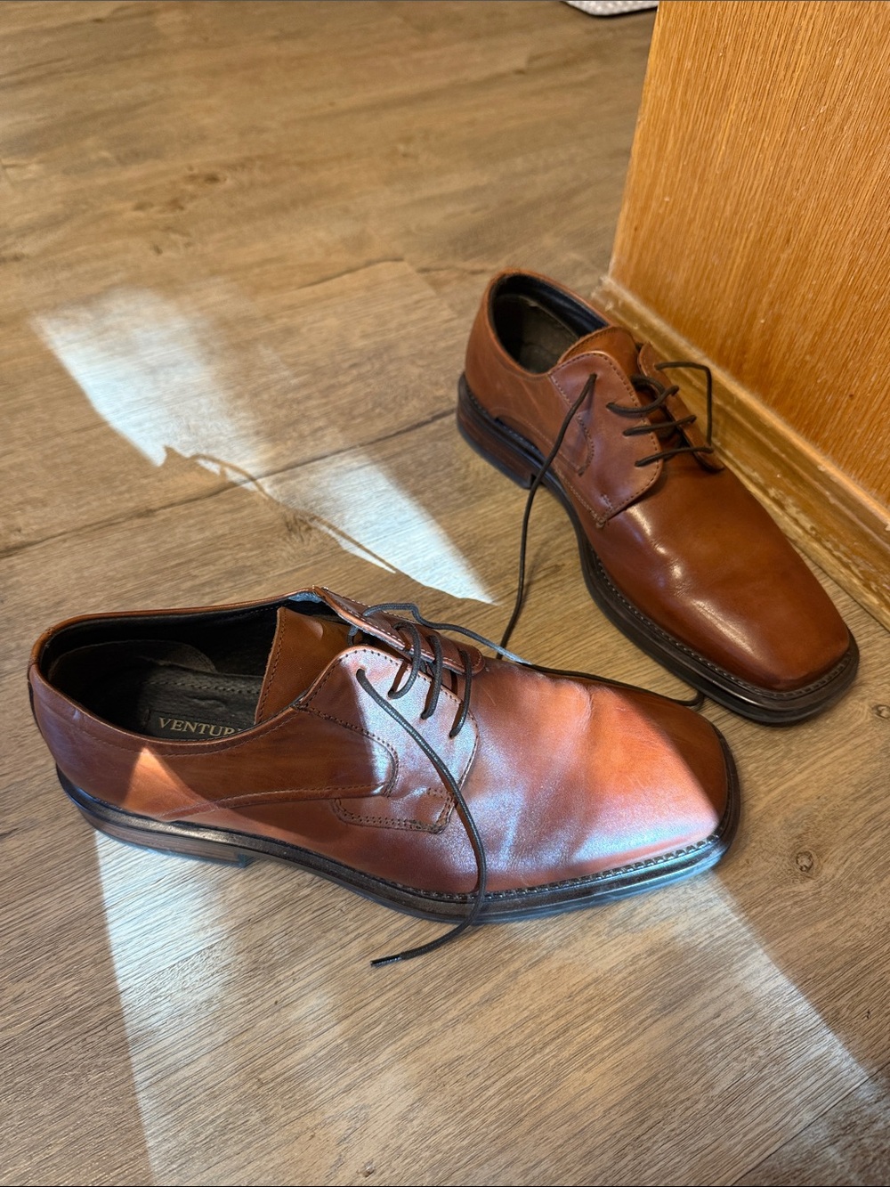 ventura Chestnut Brown Leather Shoes for Men